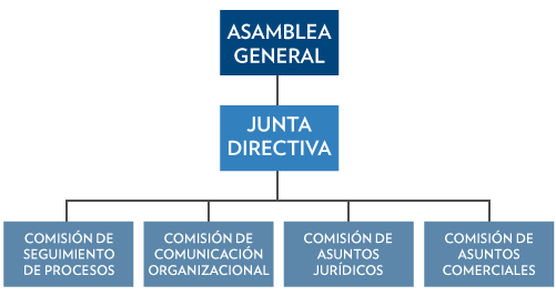 Organigrama ACAE